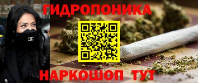 гашик Новодвинск