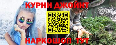 гашик Новодвинск
