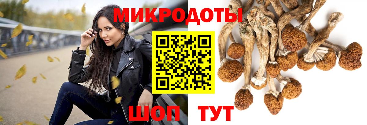 Псилоцибиновые грибы Psilocybe  Вход с VPN  Псилоцибиновые грибы Psilocybe  Северск 
